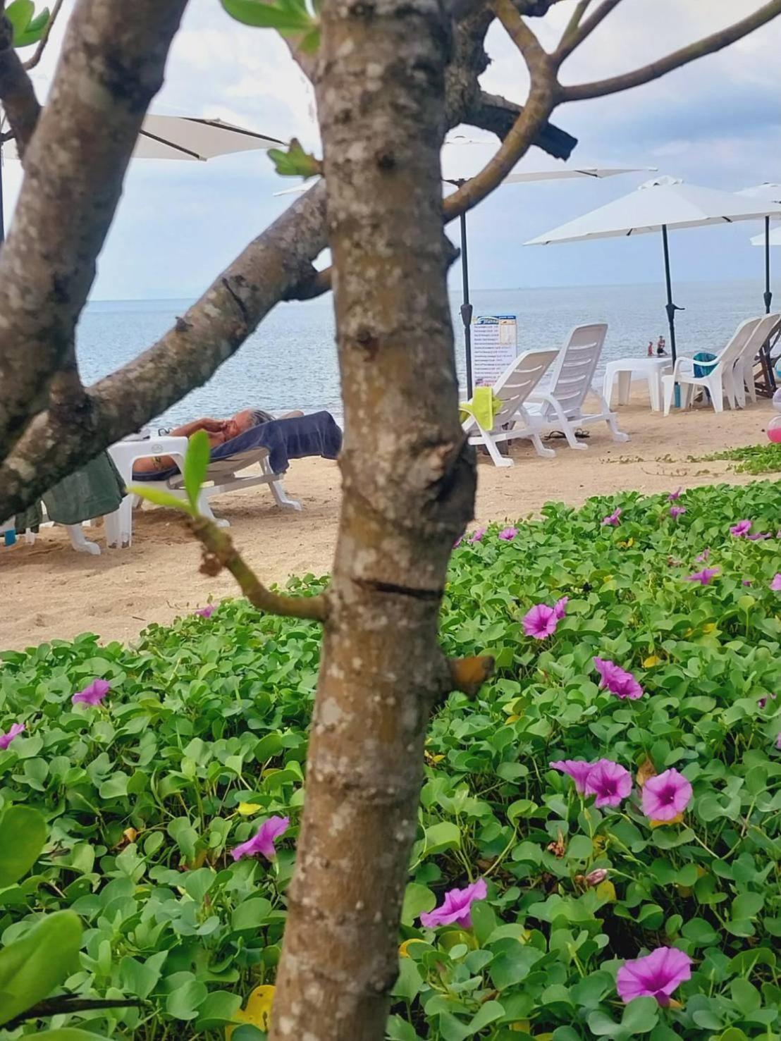Walden Koh Lanta - Tiny Homes By The Sea Zewnętrze zdjęcie